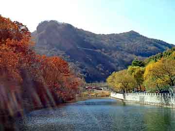 澳门二四六天天彩图库，白菊花价格